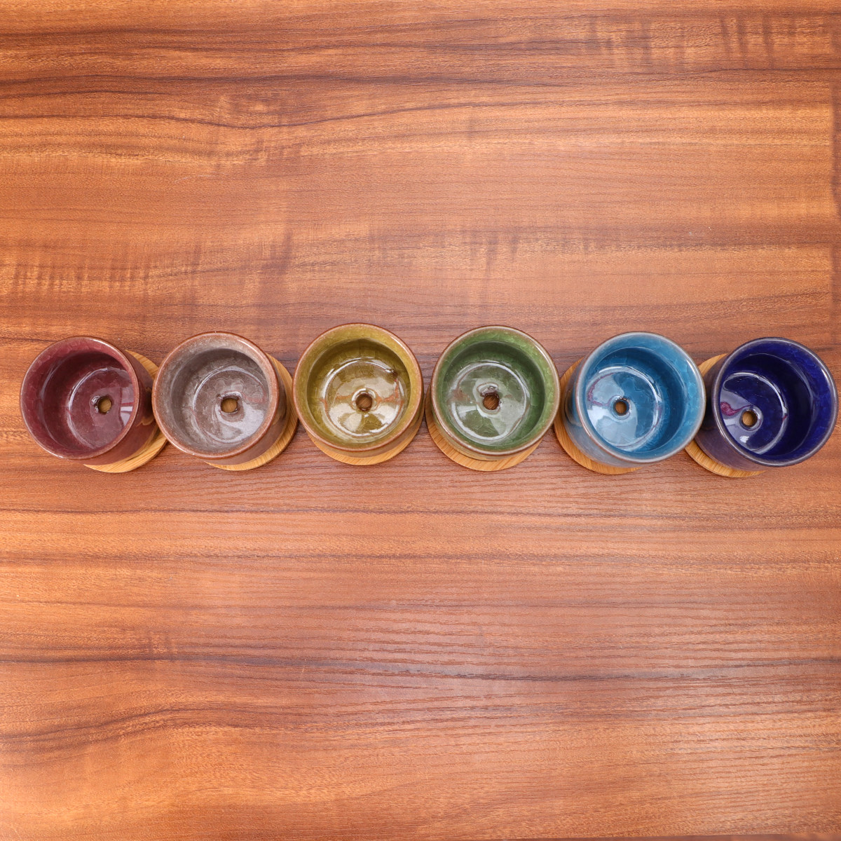 Aloe Vera Pot - Mini Cracked Glaze Ceramic Pot Set
