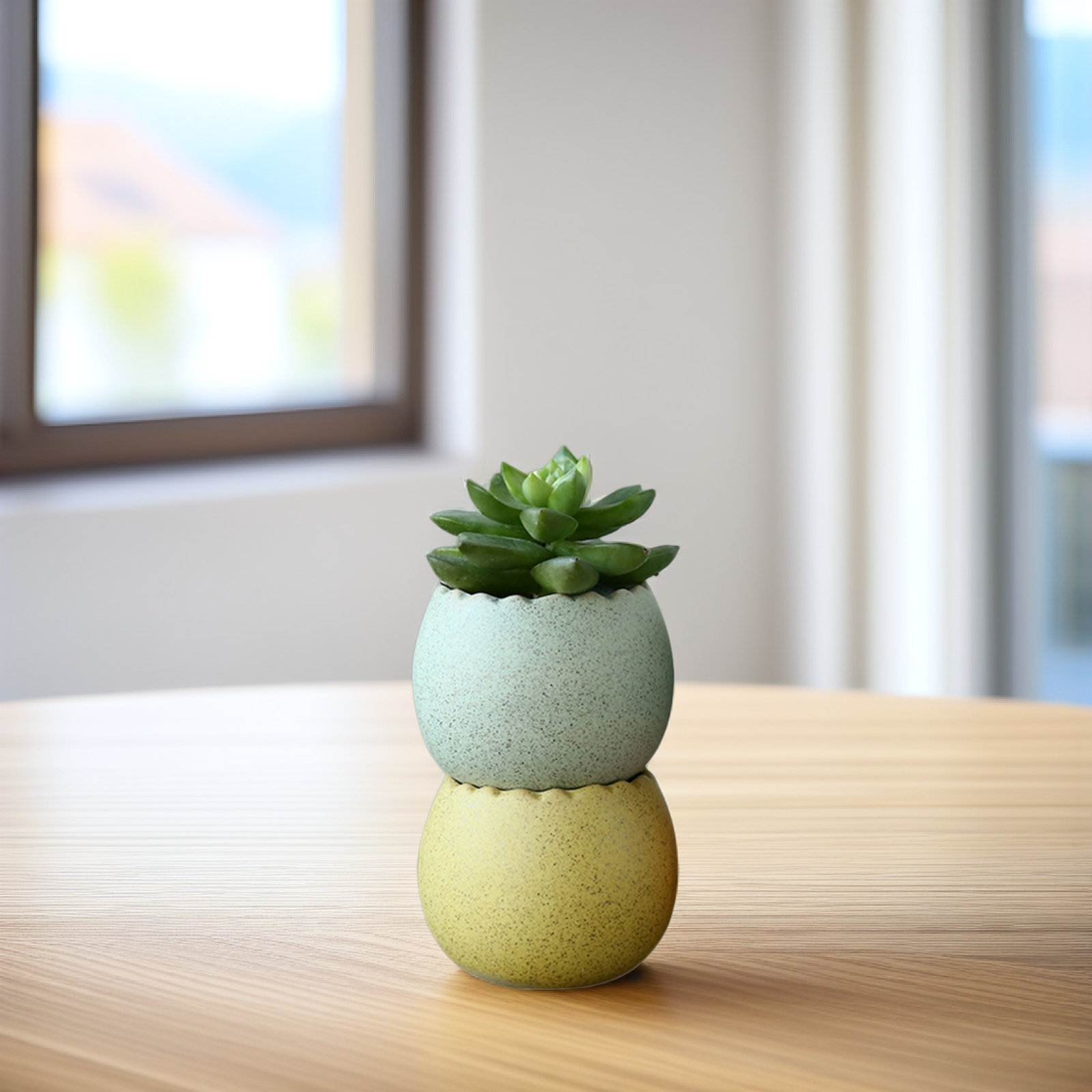 6Pcs Stylish Ceramic Mini Pots - огляд і ціна Aloe Vera Pot