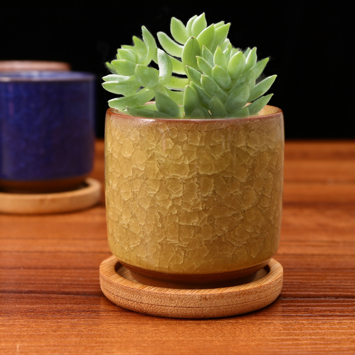 Mini Cracked Glaze Ceramic Pot - огляд і ціна Aloe Vera Pot
