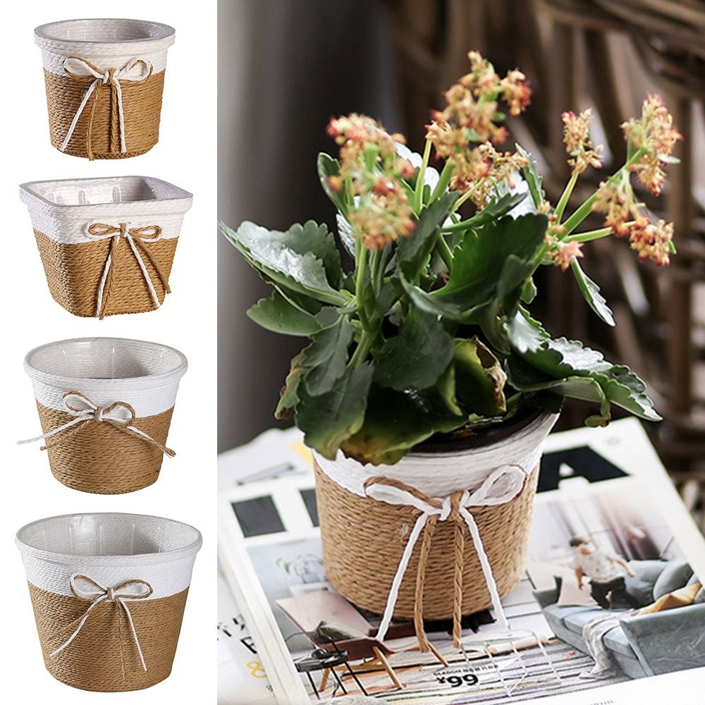 Paper Rope Braided Braided Flo - огляд і ціна Pilea Peperomioides