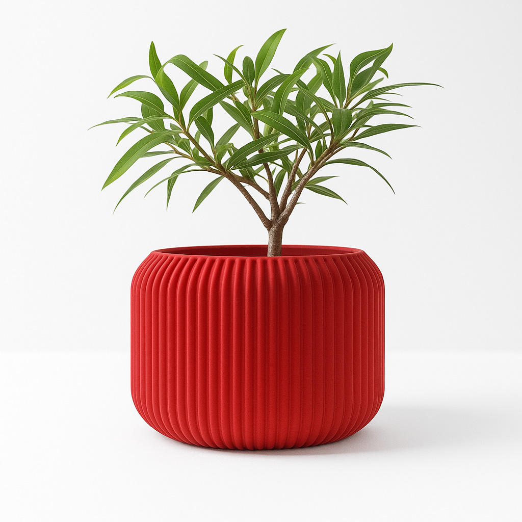 Modern Minimalist 3D Printed P - огляд і ціна Aloe Vera Pot