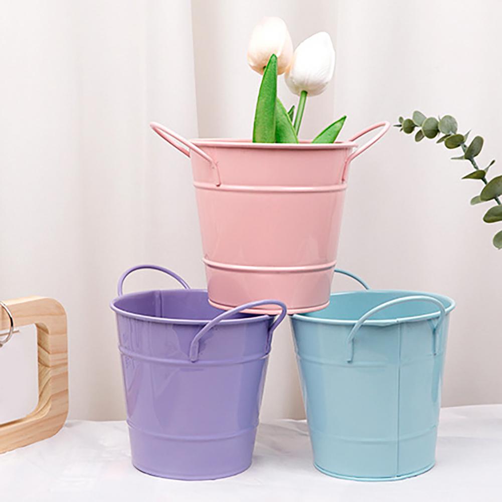 Flowerpot Candy Colored Iron F - огляд і ціна Pilea Peperomioides