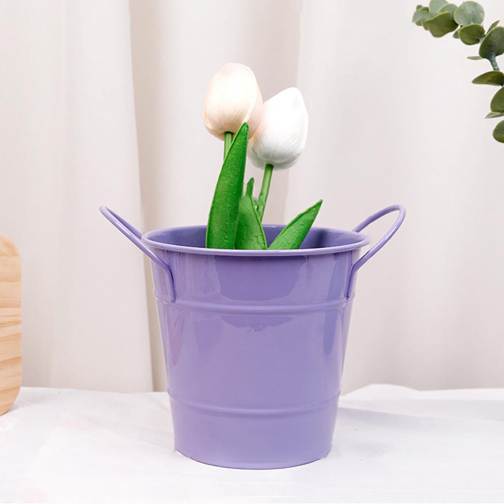 Flowerpot Candy Colored Iron F - огляд і ціна Pilea Peperomioides
