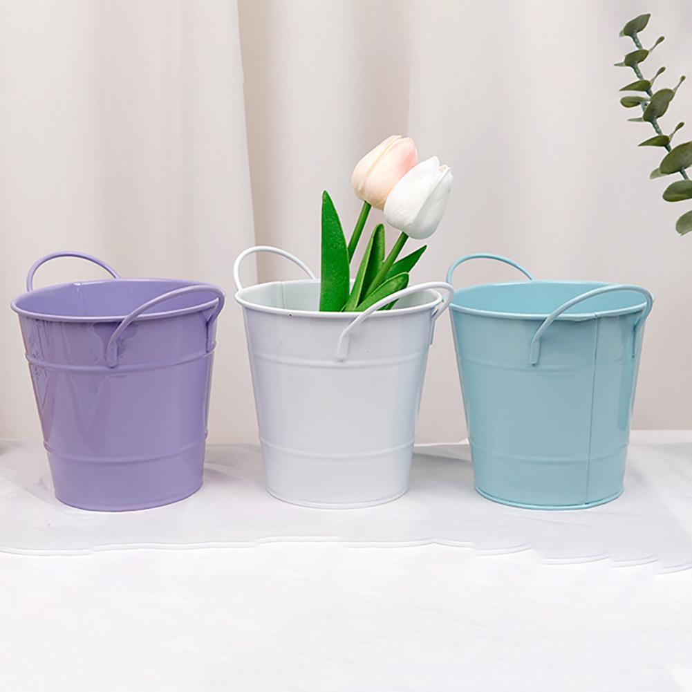Flowerpot Candy Colored Iron F - огляд і ціна Pilea Peperomioides