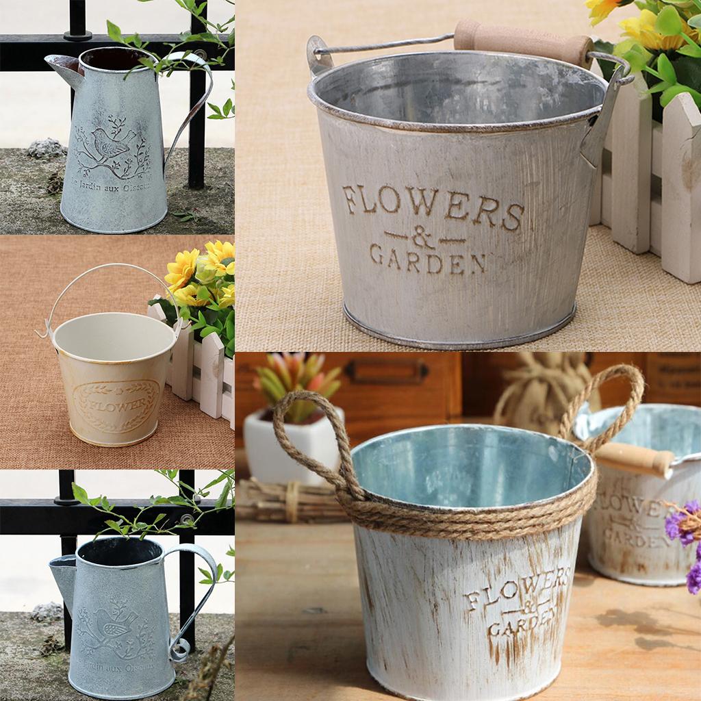 Antique Metal Bucket Herb Flow - огляд і ціна Pilea Peperomioides