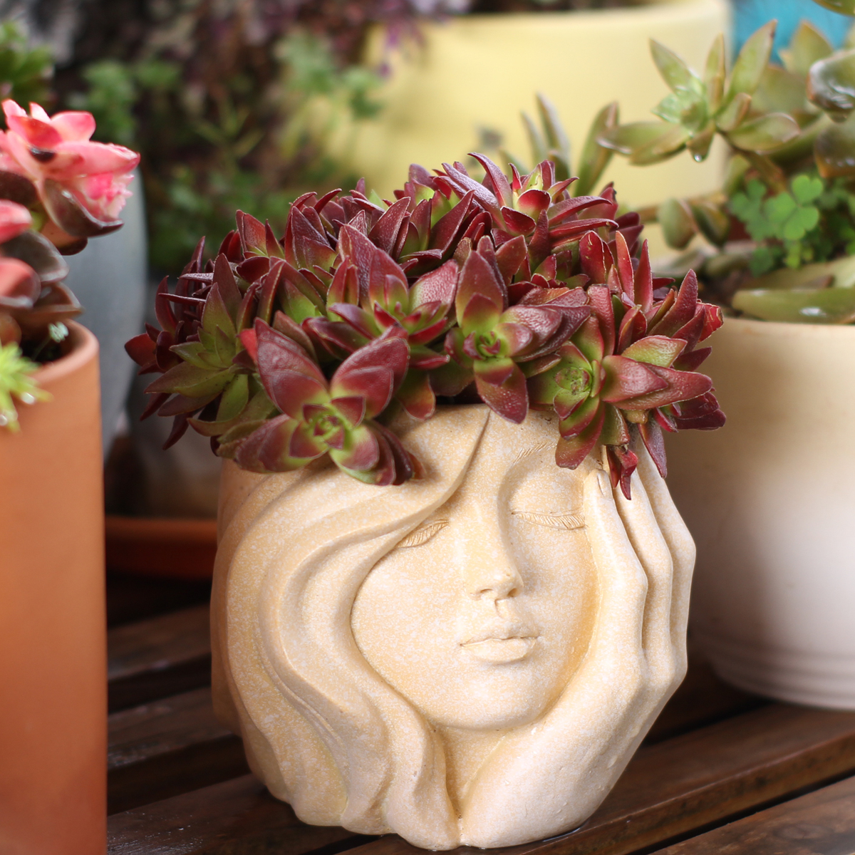 Face-Shaped Flower Pot Suitabl - огляд і ціна Pilea Peperomioides