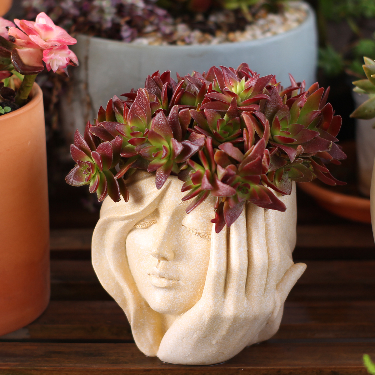 Face-Shaped Flower Pot Suitabl - огляд і ціна Pilea Peperomioides