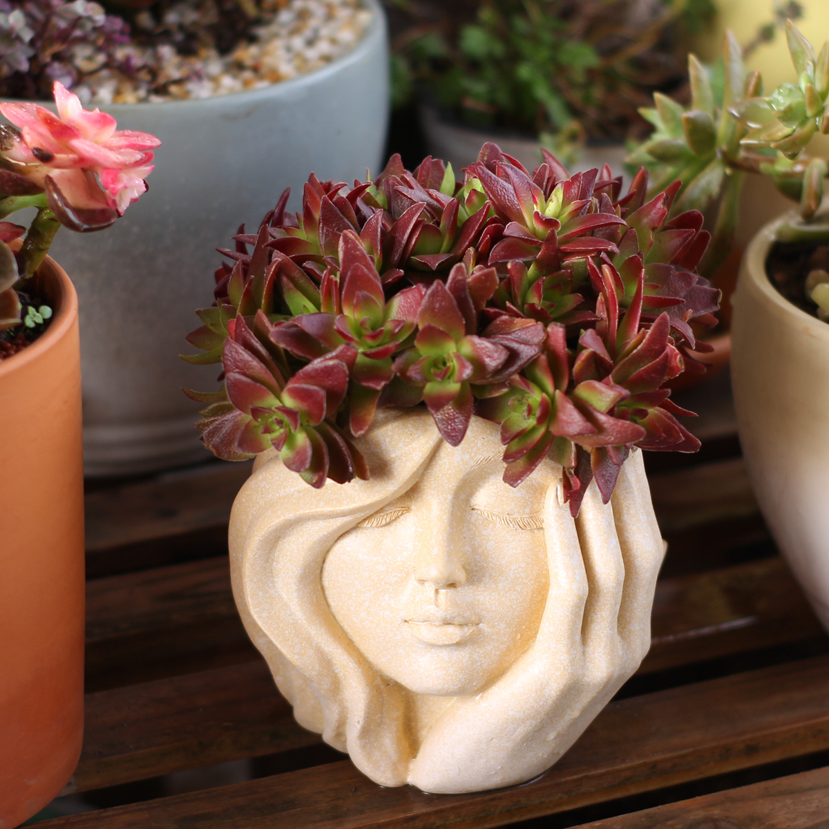 Face-Shaped Flower Pot Suitabl - огляд і ціна Pilea Peperomioides
