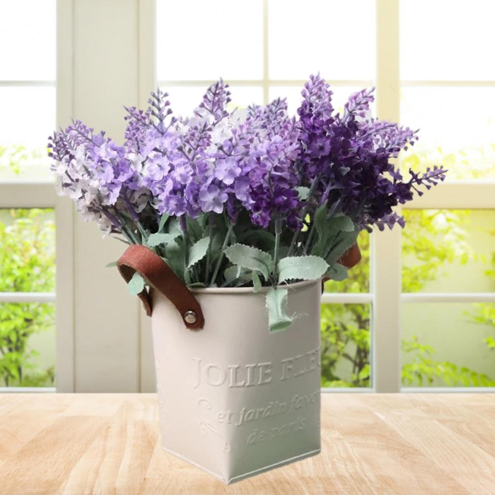 Barrels Garden Decoration Tin  - огляд і ціна Pilea Peperomioides