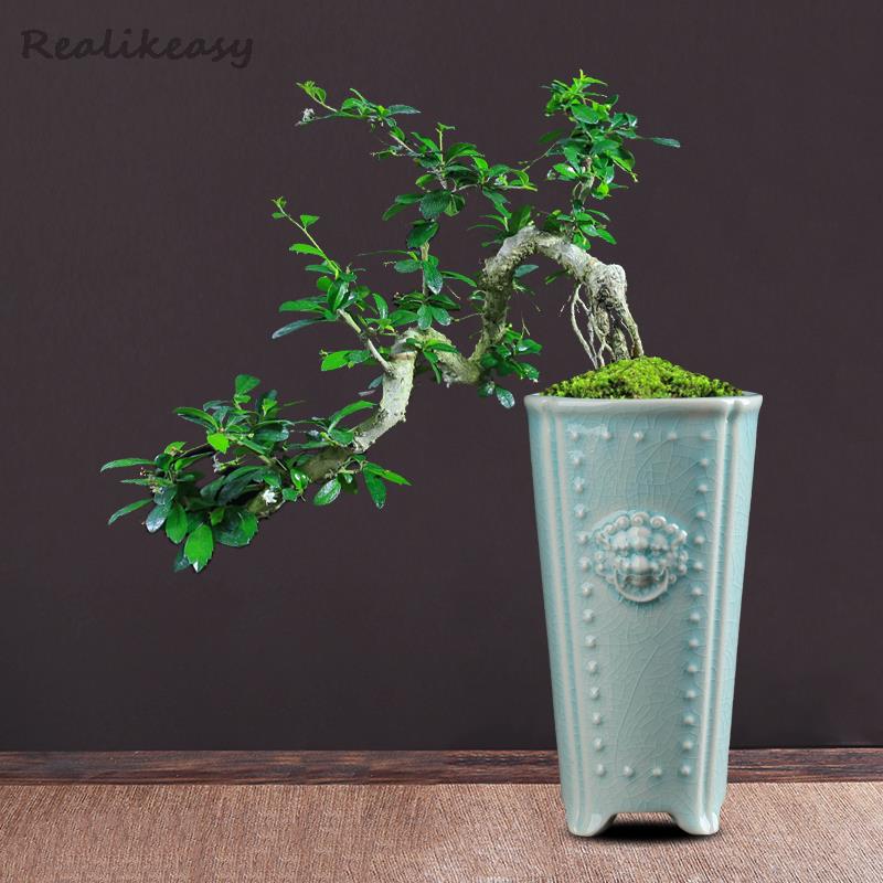 Creative Chinese Ceramic Flowe - огляд і ціна Pilea Peperomioides