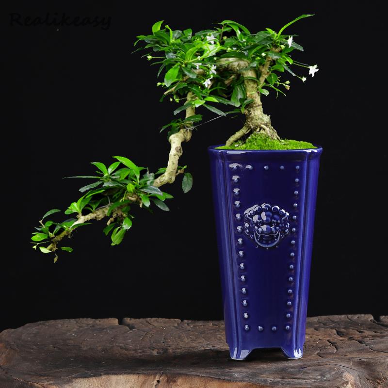 Creative Chinese Ceramic Flowe - огляд і ціна Pilea Peperomioides